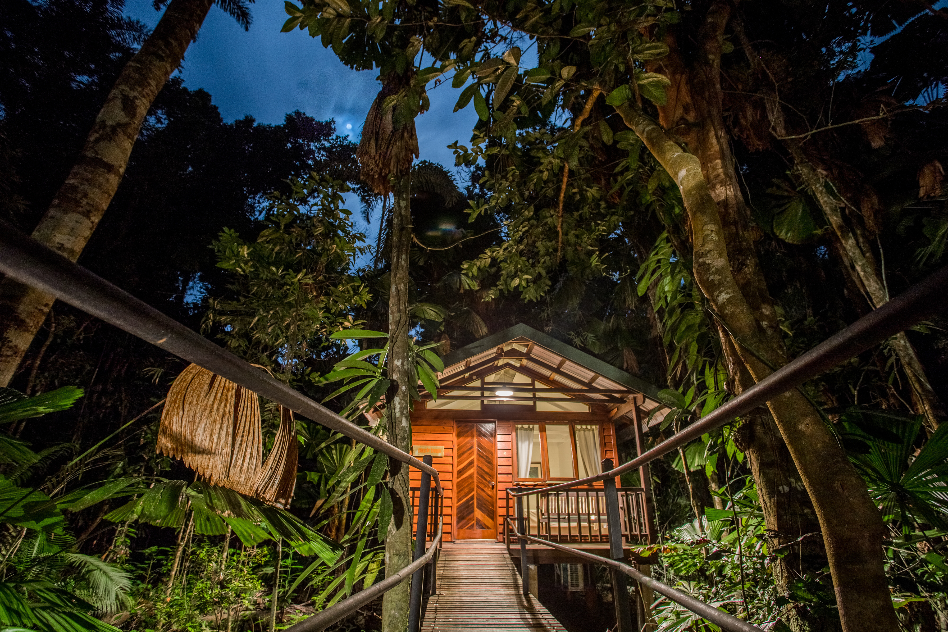 A lodge set amongst the trees