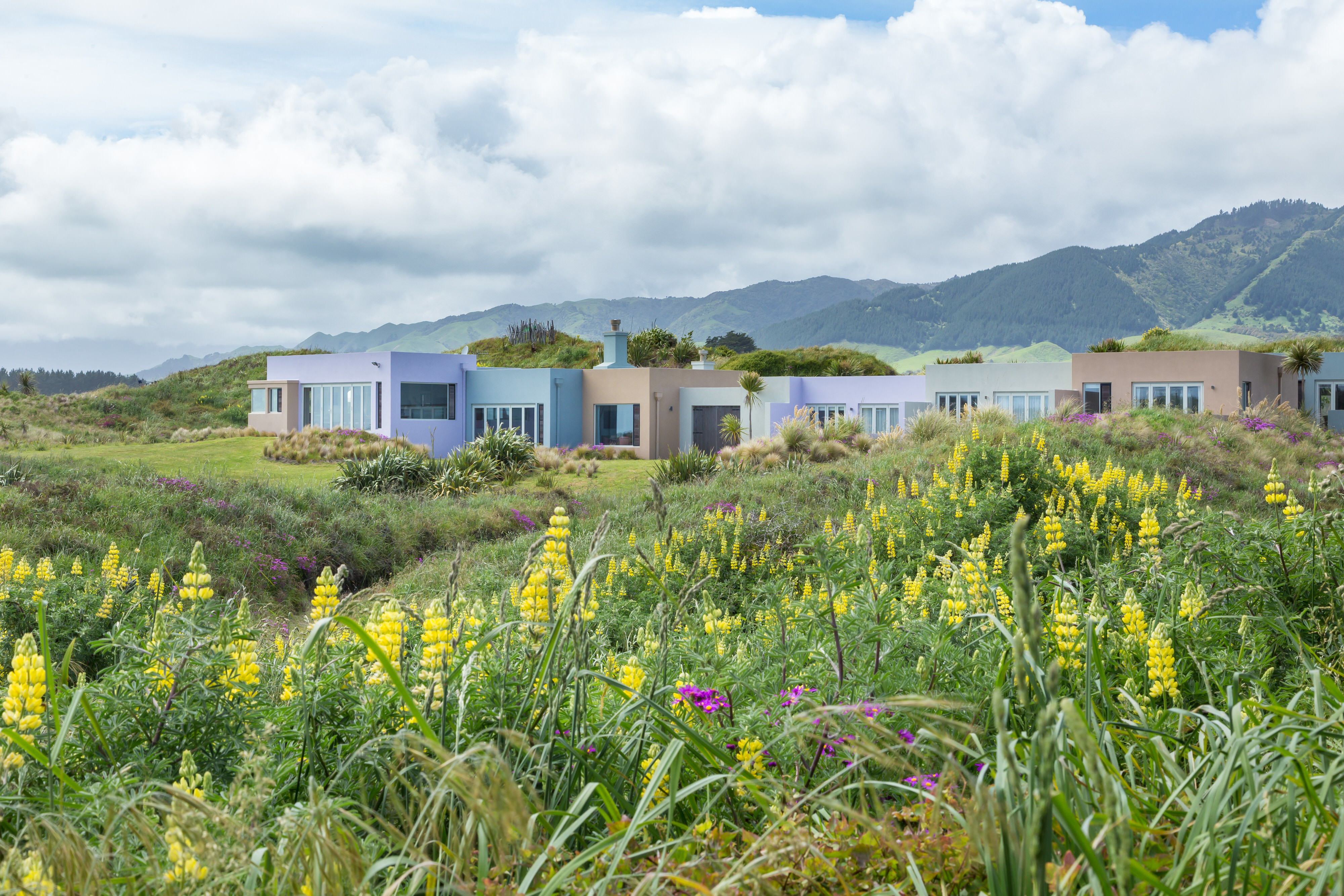 Accommodation set in a field of flowers